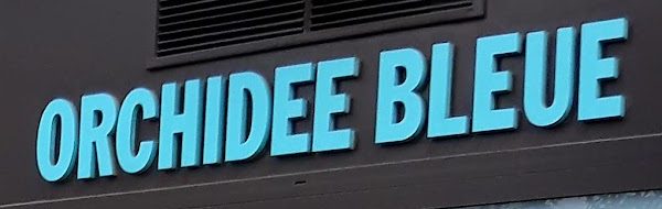 L’enseigne Orchidée Bleue en lettres turquoise sur le bandeau brun.